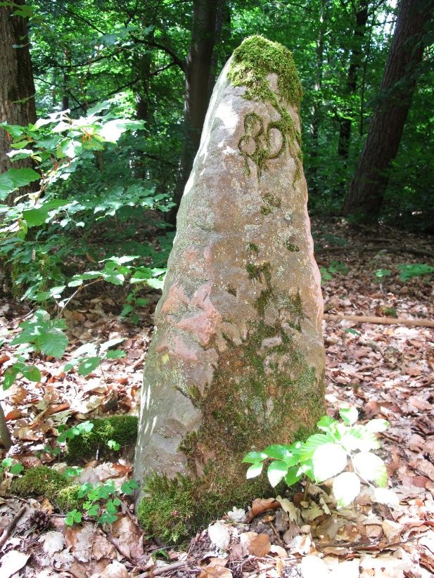 Länglicher, unbehauener Grenzstein im Wald mit eingehauener Nummer 89.