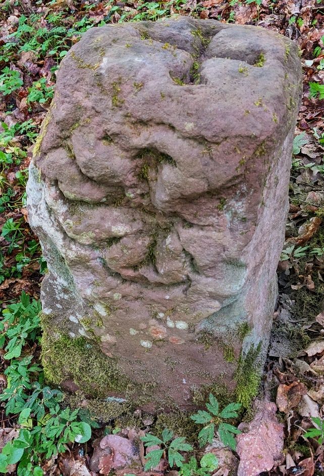 Alter Grenzstein im Wald mit dem Relief einer Rosenblüte.