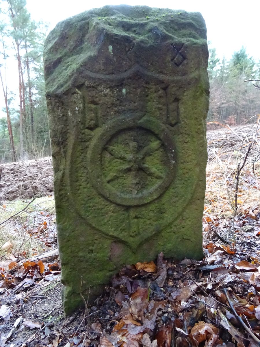 Moosbewachsener Grenzstein aus Sandstein im Wald. Auf der Vorderseite ein Wappenschild mit dem Mainzer Rad.