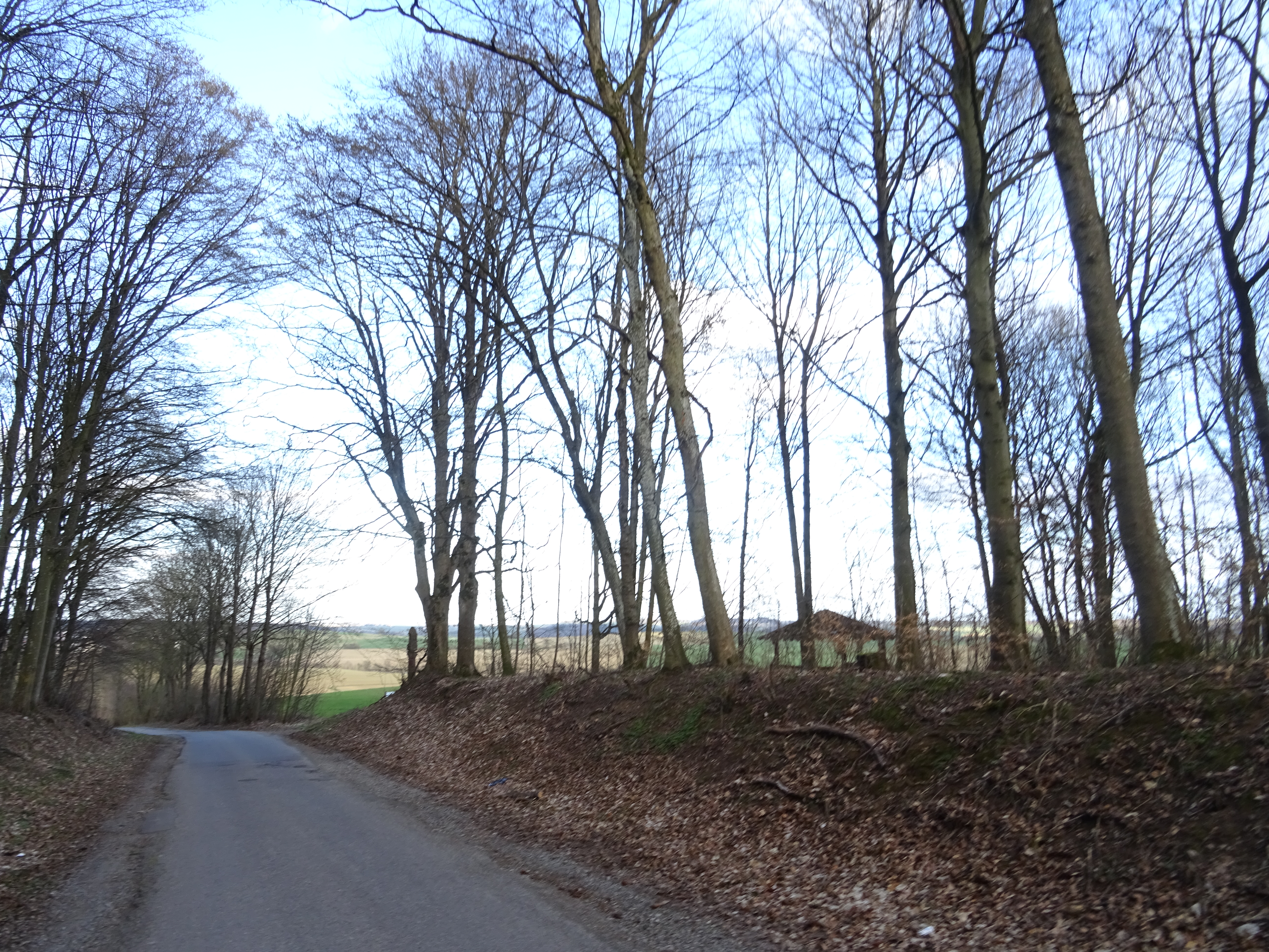 Alte Würzburger Straße mit Ecce-homo-Bildstock am Straßenrand