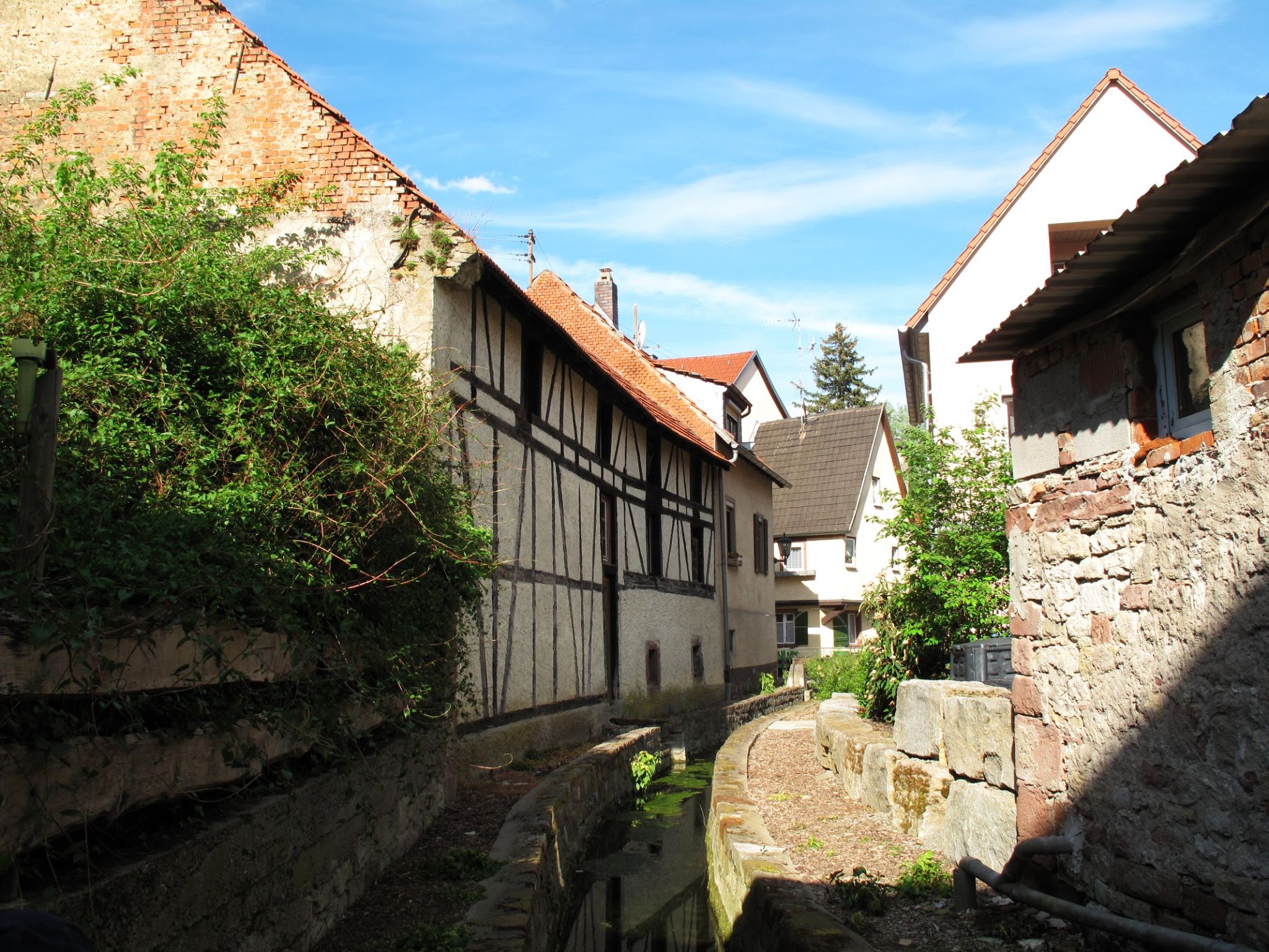 Mühlkanal in Tauberbischofsheim