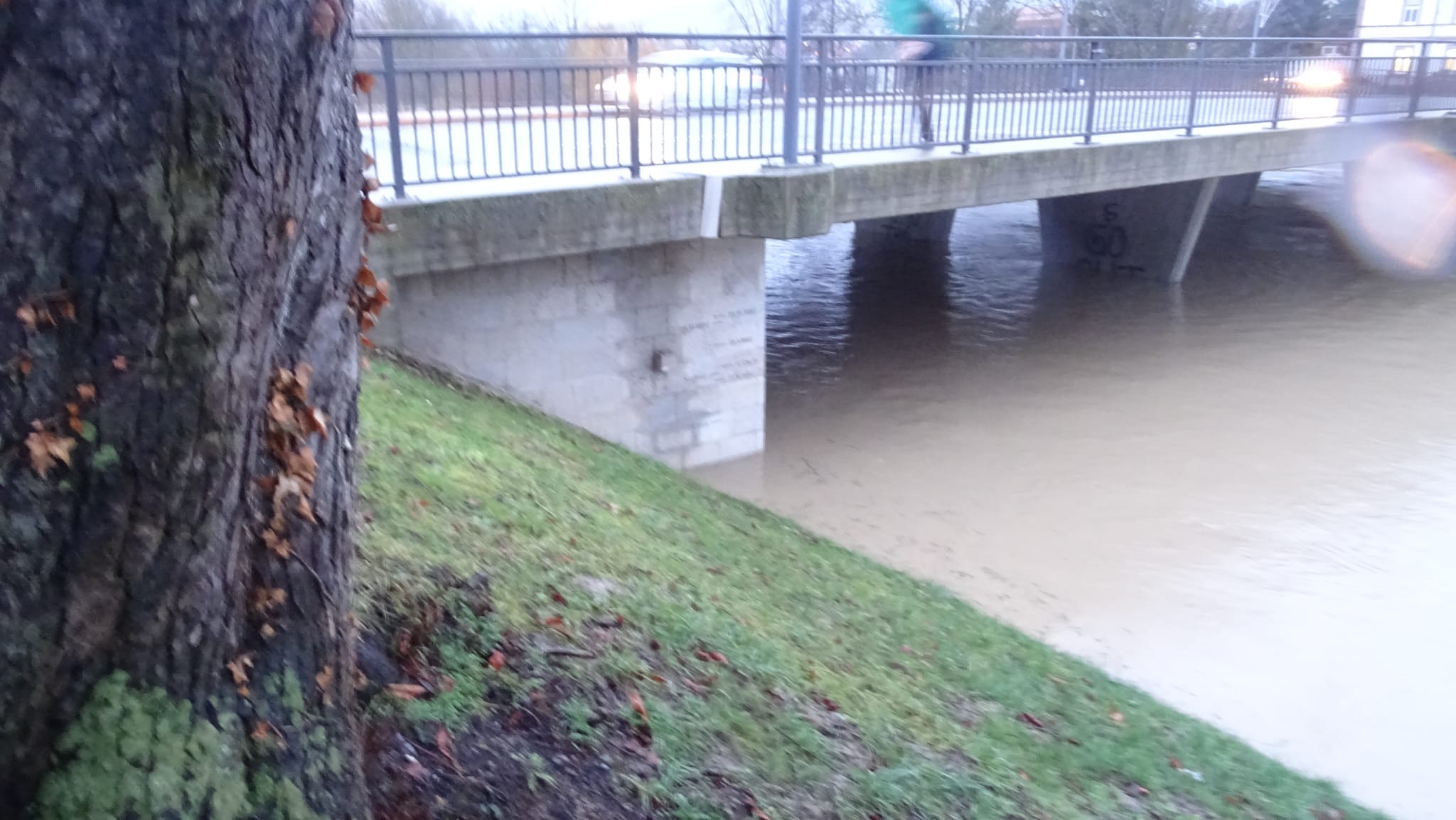 Ufer der Tauber an der Altstadtseite