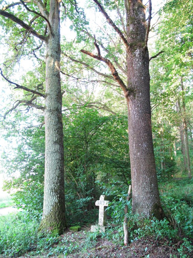 Sühnekreuz von 1491 am Ende des Taubentals am Rande des Brückenwalds