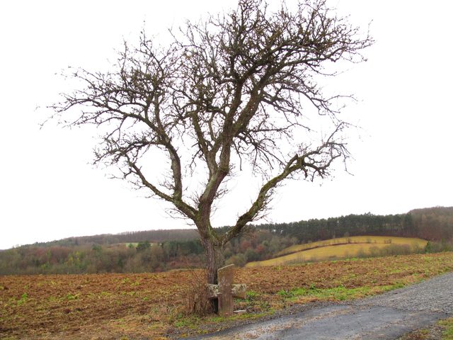 Das Richtplatzkreuz (beim ehem. Richtplatz von Tauberbischofsheim)