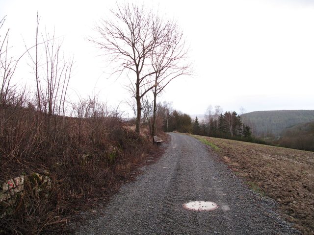 Buntsandsteinkreuz mit Kleeblattenden und Herz-Relief (an der Kreuzung des Dienstadter Wegs mit der Külsheimer Straße)